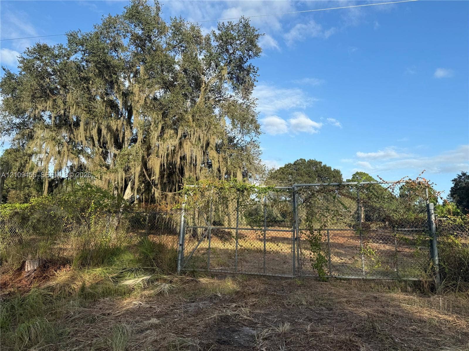 Open lot featuring established mature oak trees, perimeter chain-link fencing, and a metal gated entry