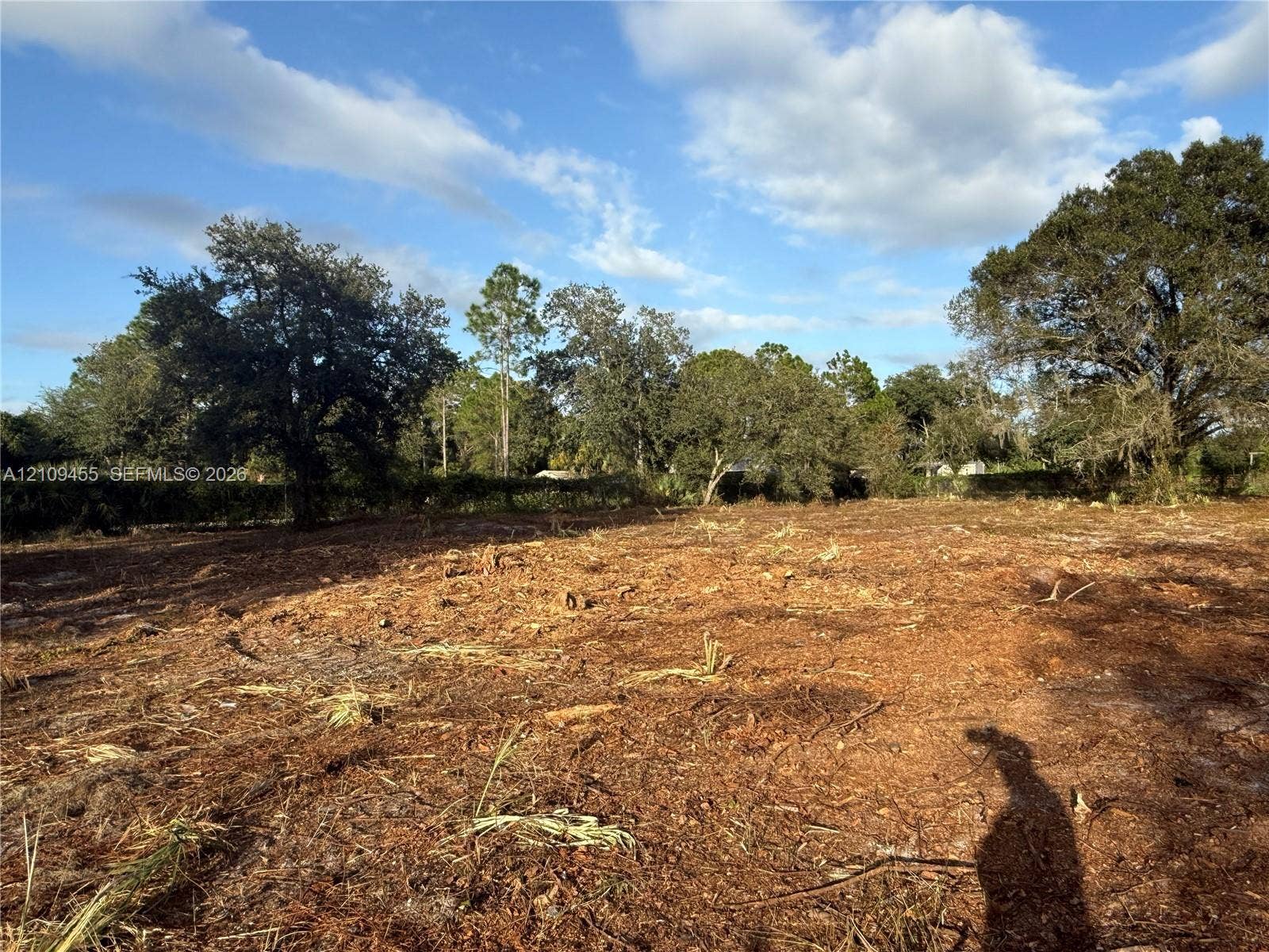 Expansive cleared lot featuring mature hardwood trees and perimeter vegetation