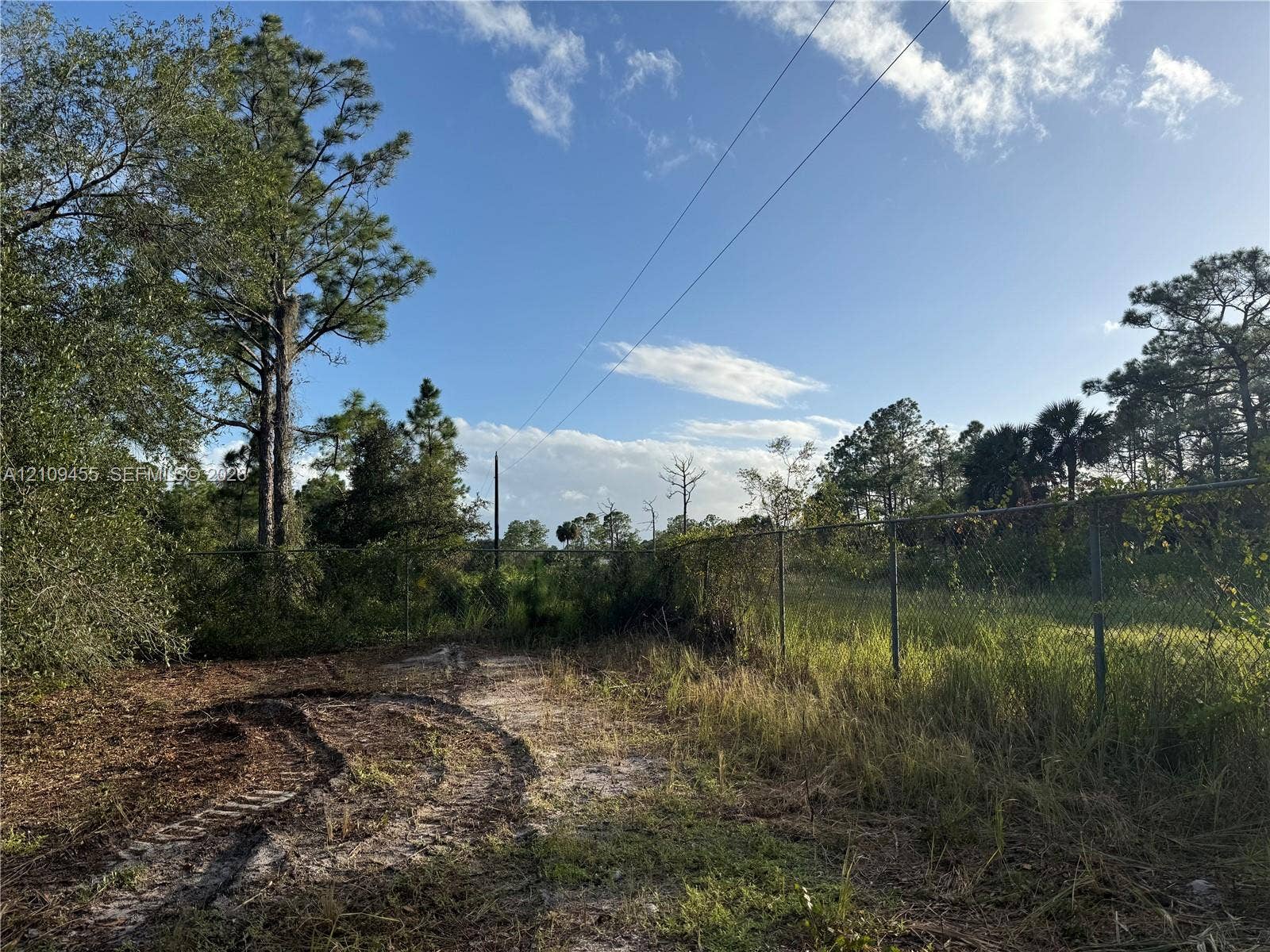 Expansive lot featuring mature trees, natural vegetation, and chain-link fencing