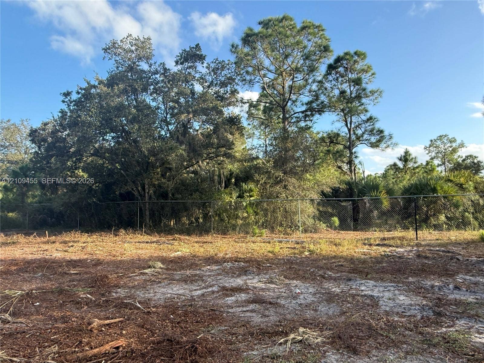 Level lot featuring natural ground cover, a perimeter chain-link fence, and mature pine and oak trees
