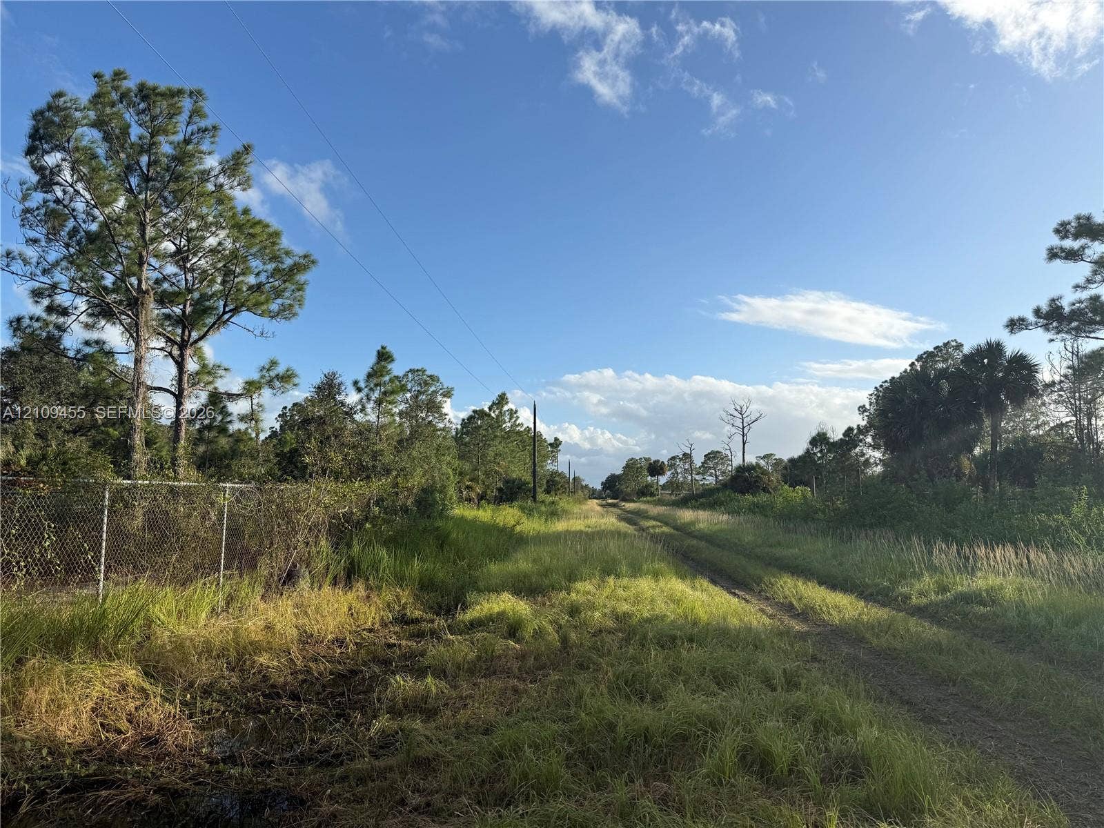 Expansive parcel featuring mature trees, native vegetation, and chain-link perimeter fencing