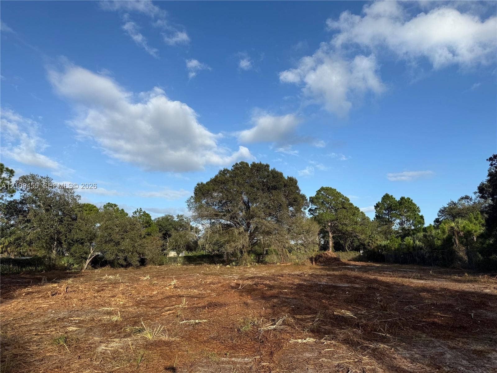 Expansive cleared lot featuring native vegetation and mature canopy trees