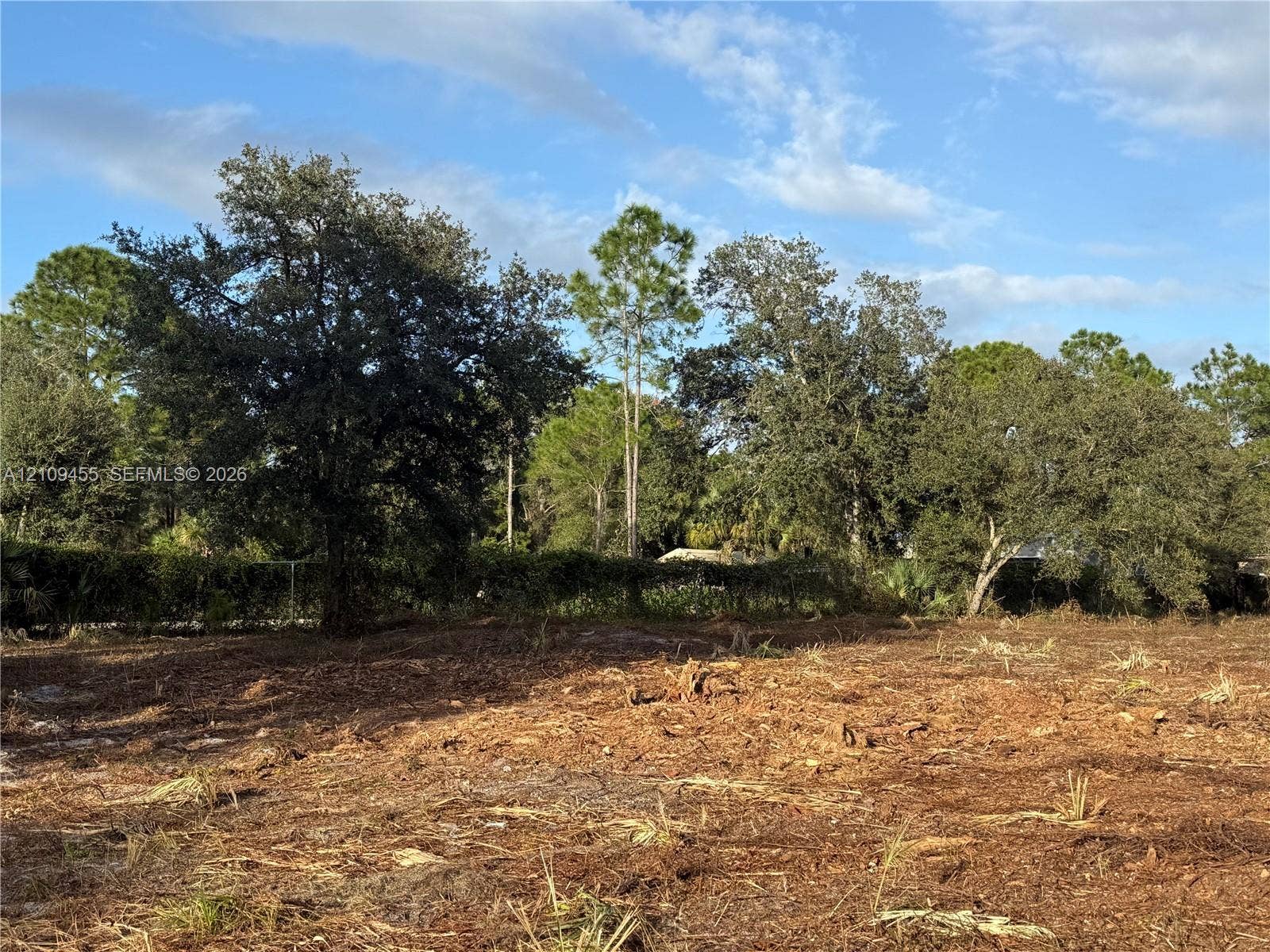 Cleared parcel featuring mature trees, native landscaping, and partial perimeter foliage
