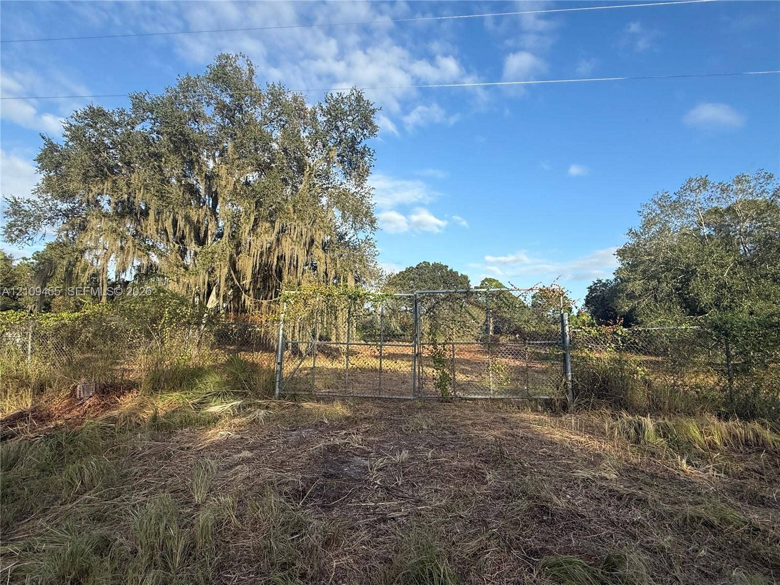 Level lot featuring chain-link perimeter fencing, gated access, and mature oak trees