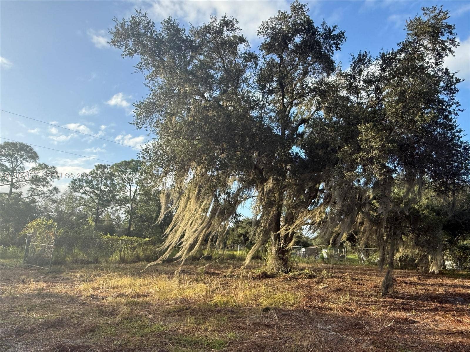 Expansive grounds featuring a mature, sprawling oak tree