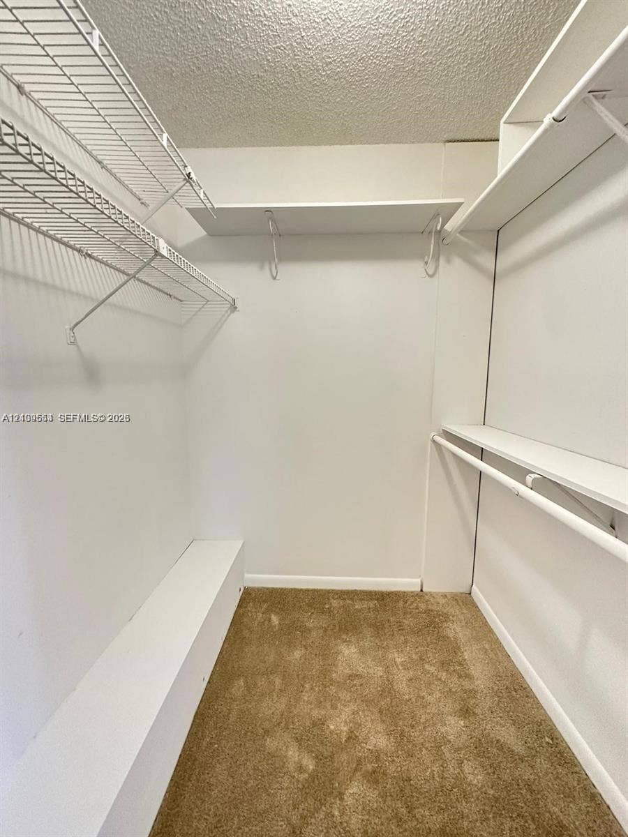 1802 18th Way, #1802, West Palm Beach, West Palm Beach, FL 33407 Walk-in storage space featuring neutral carpeting and built-in tiered wire and solid shelving