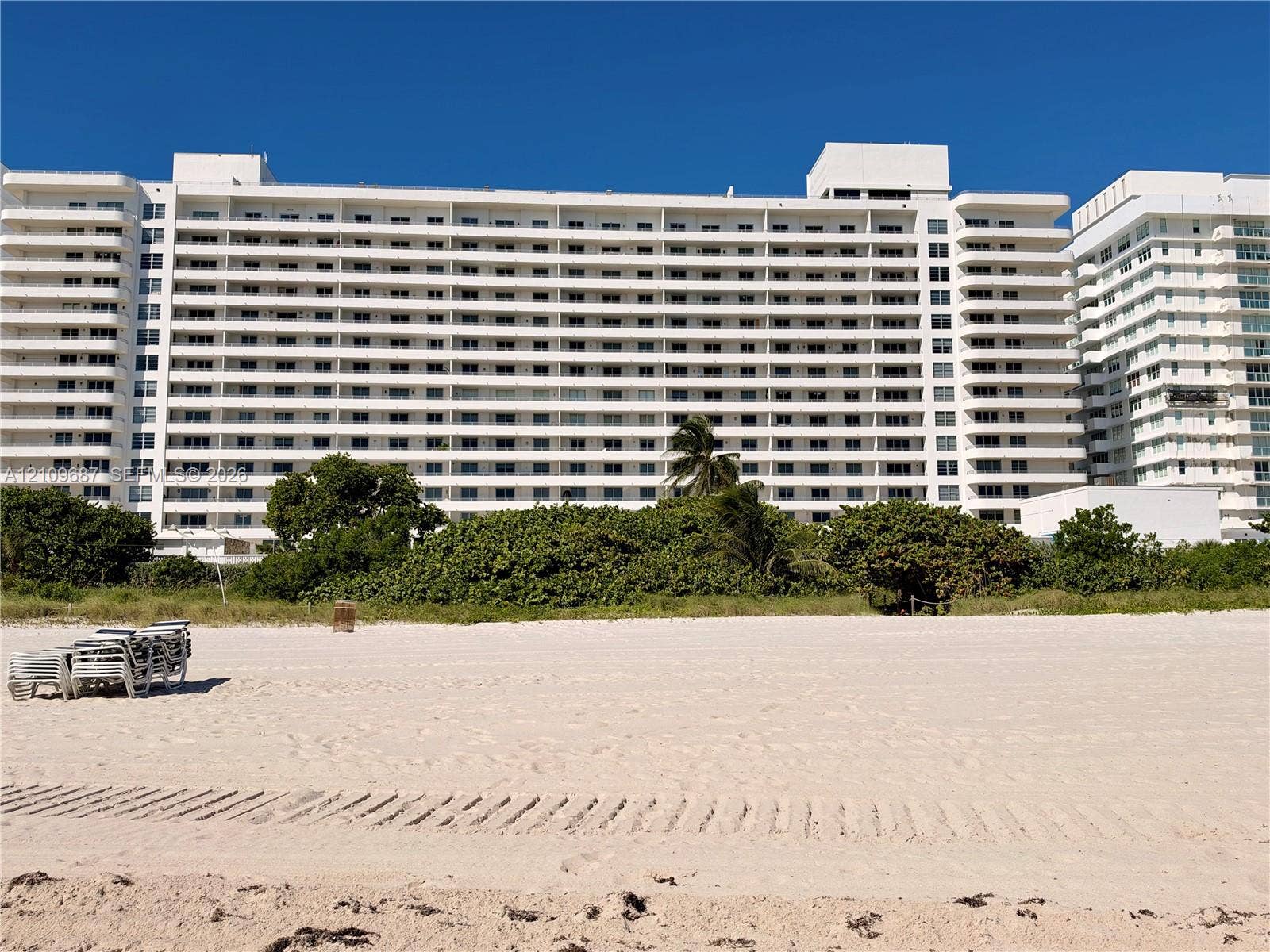 5555 Collins Avenue, #5C, Miami Beach, FL 33140 Multi-story white facade high-rise featuring private balconies, floor-to-ceiling glass, direct beach access, and surrounding coastal landscaping