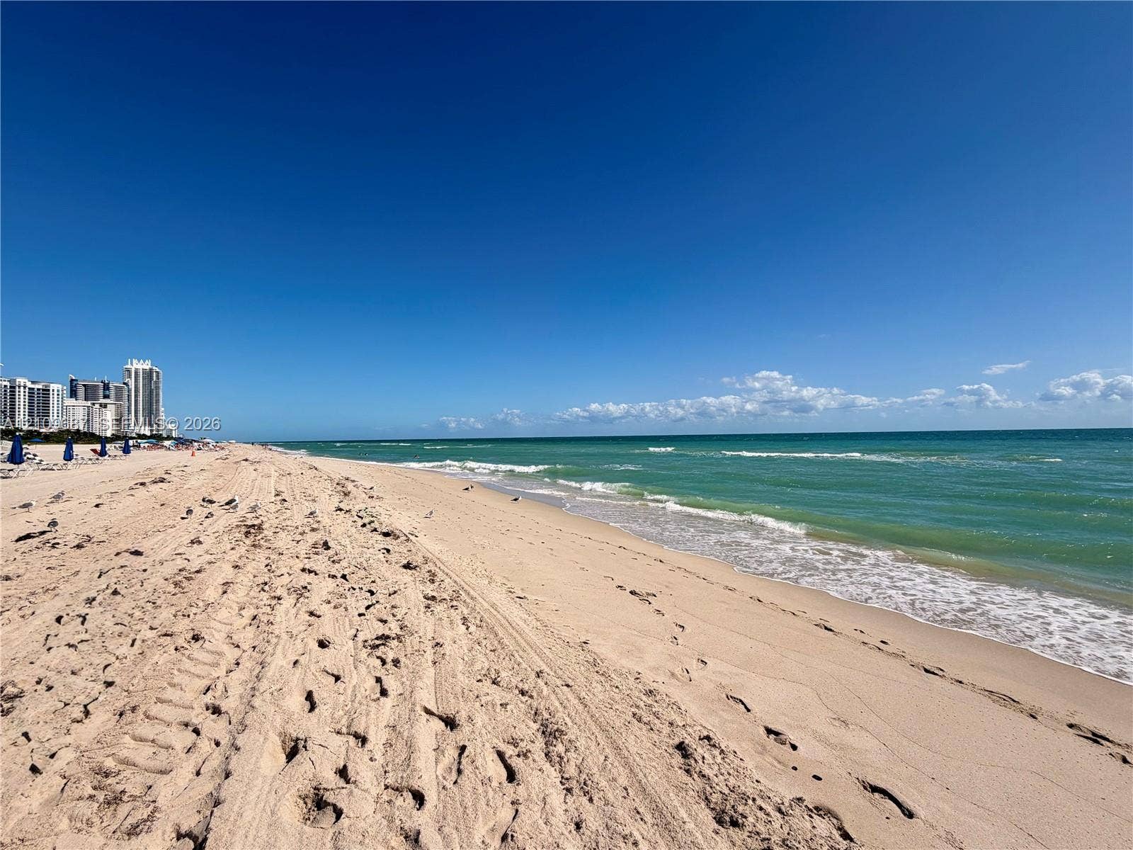 5555 Collins Avenue, #5C, Miami Beach, FL 33140 Sandy shoreline featuring direct ocean access