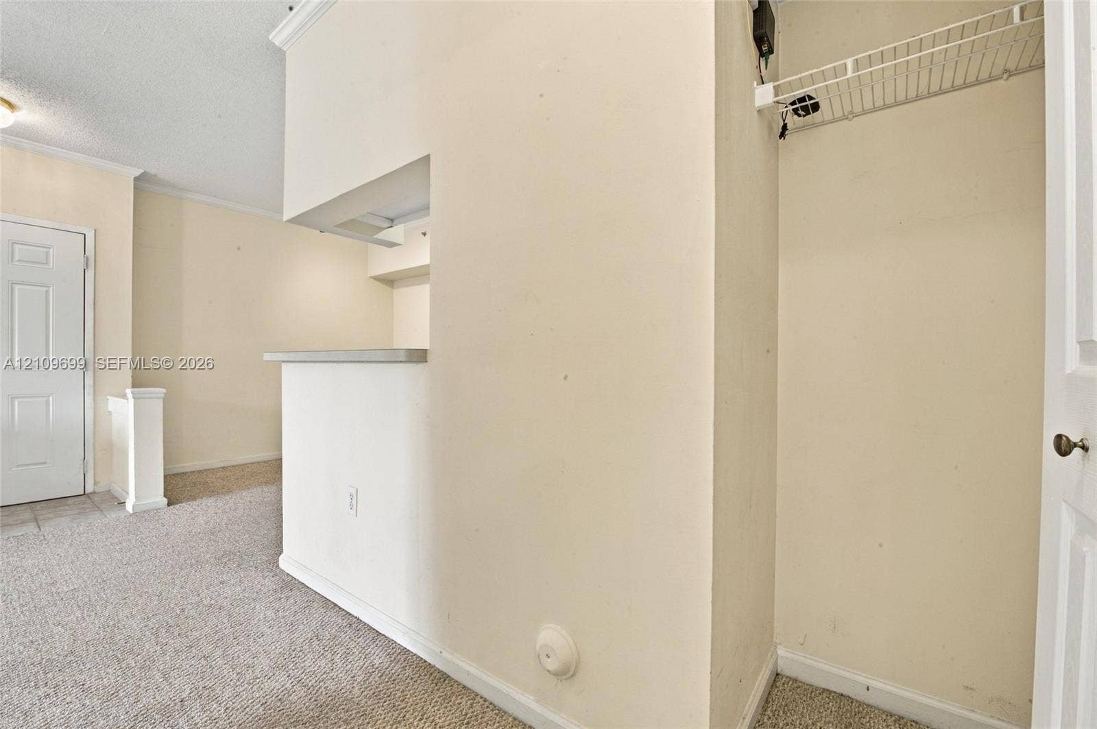 Interior space featuring a pass-through opening, a neutral-toned partition wall, carpeting, and a built-in closet with wire shelving