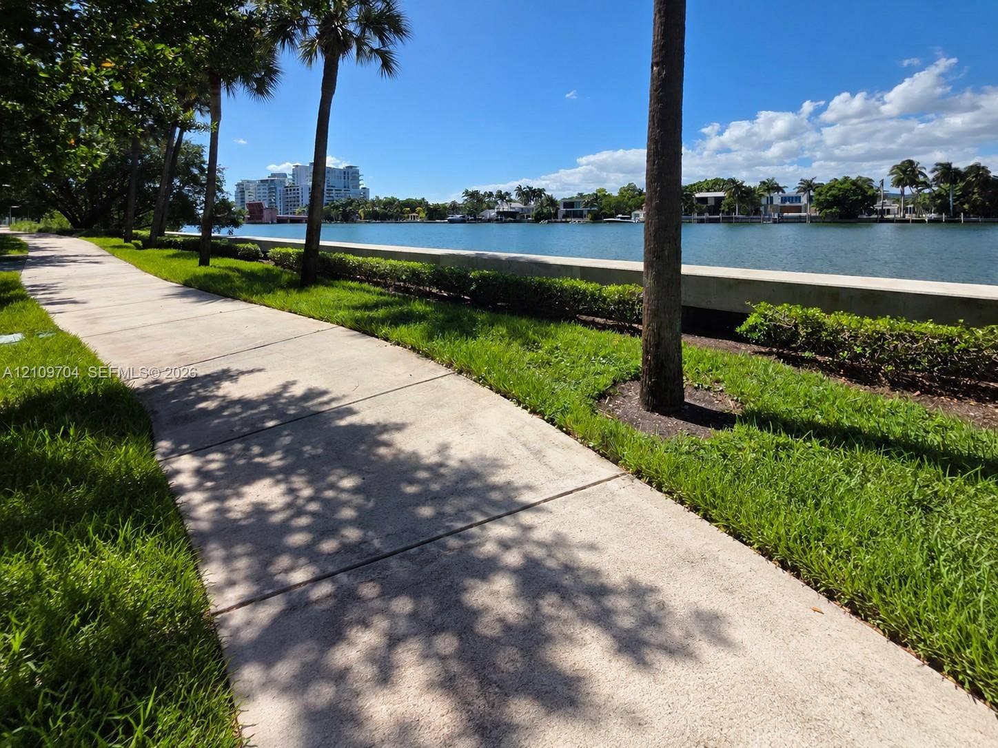 6770 Indian Creek Drive, #14C, Miami Beach, FL 33141 Concrete walking path bordered by manicured lawn, mature palm trees, and a concrete seawall overlooking the waterfront