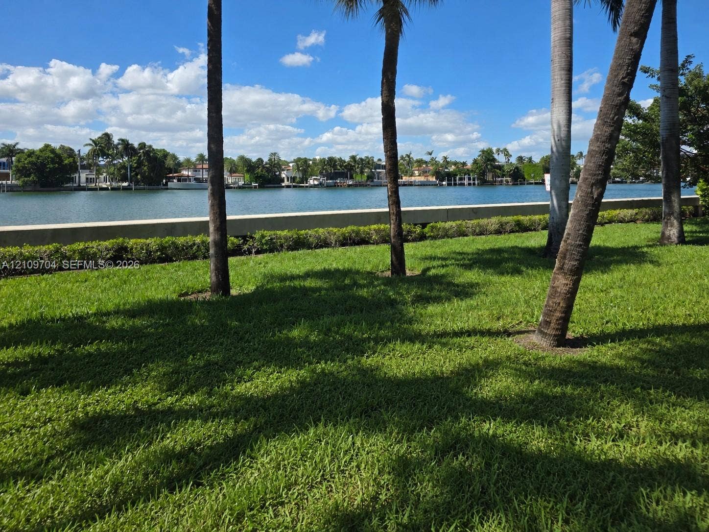 6770 Indian Creek Drive, #14C, Miami Beach, FL 33141 Waterfront property featuring a concrete seawall, expansive lawn, and mature palm trees