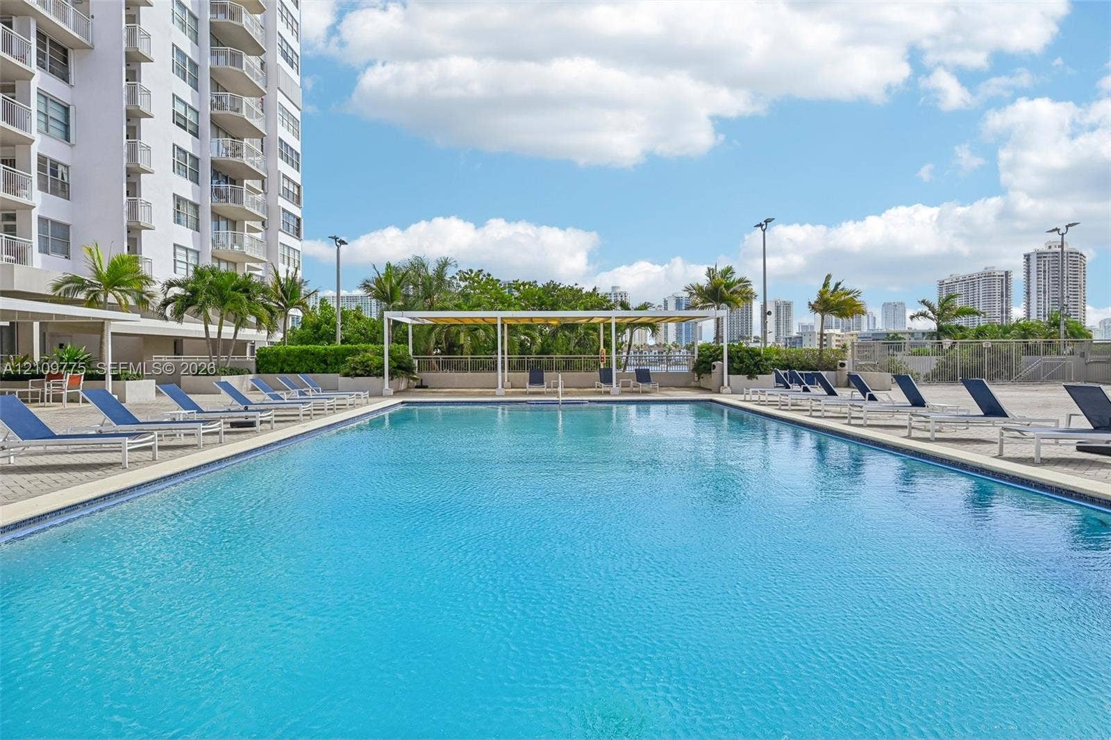 Rectangular swimming pool with paved deck, pergola-covered lounge area, and mature palm landscaping