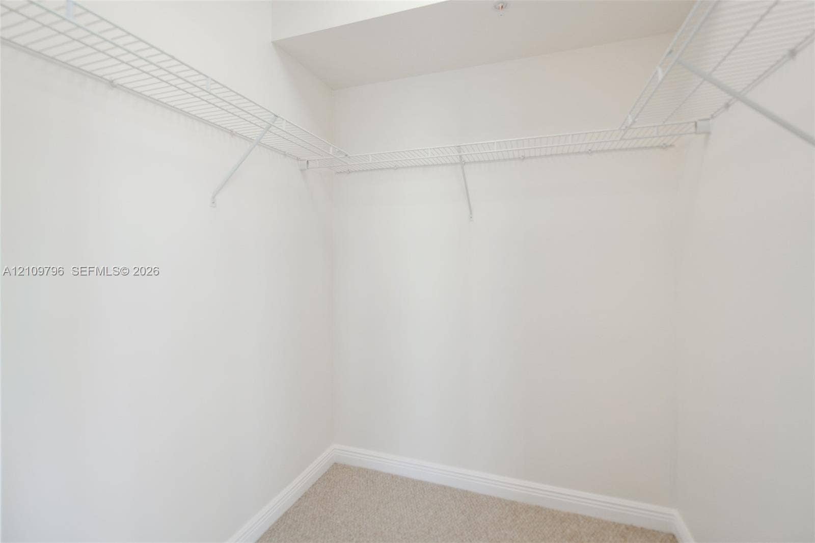Walk-in closet featuring neutral carpeting and white, multi-level wire shelving
