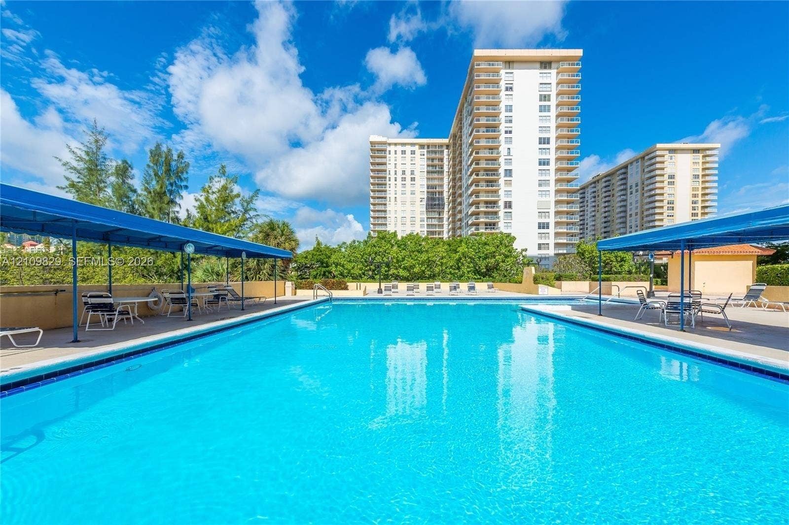 Rectangular swimming pool featuring tiled coping, dual shaded lounge areas with metal frame coverings, and concrete decking