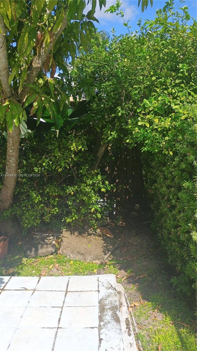 3253 SW 150 Court, Miami, FL 33185 Tiled patio area bordered by established mature trees and vegetation