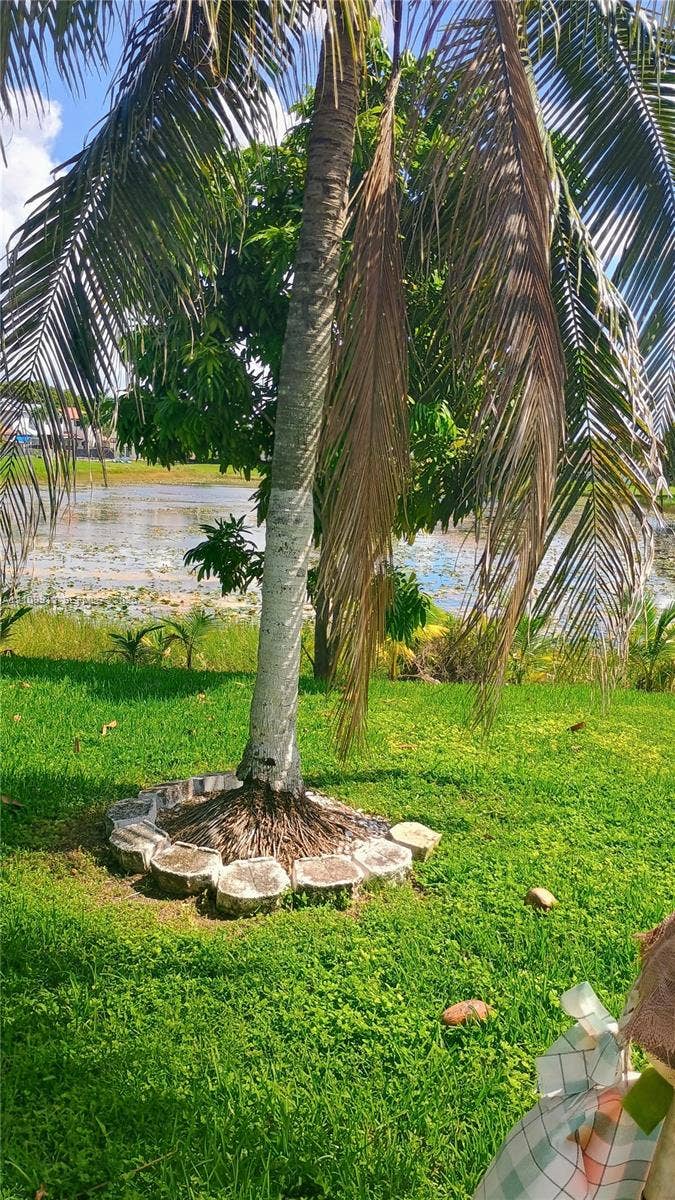 3253 SW 150 Court, Miami, FL 33185 Landscaped grounds featuring a mature palm tree, stone hardscaping, and a pond