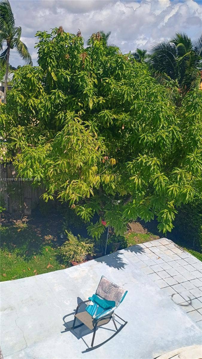 3253 SW 150 Court, Miami, FL 33185 Backyard featuring a paved patio and mature landscaping