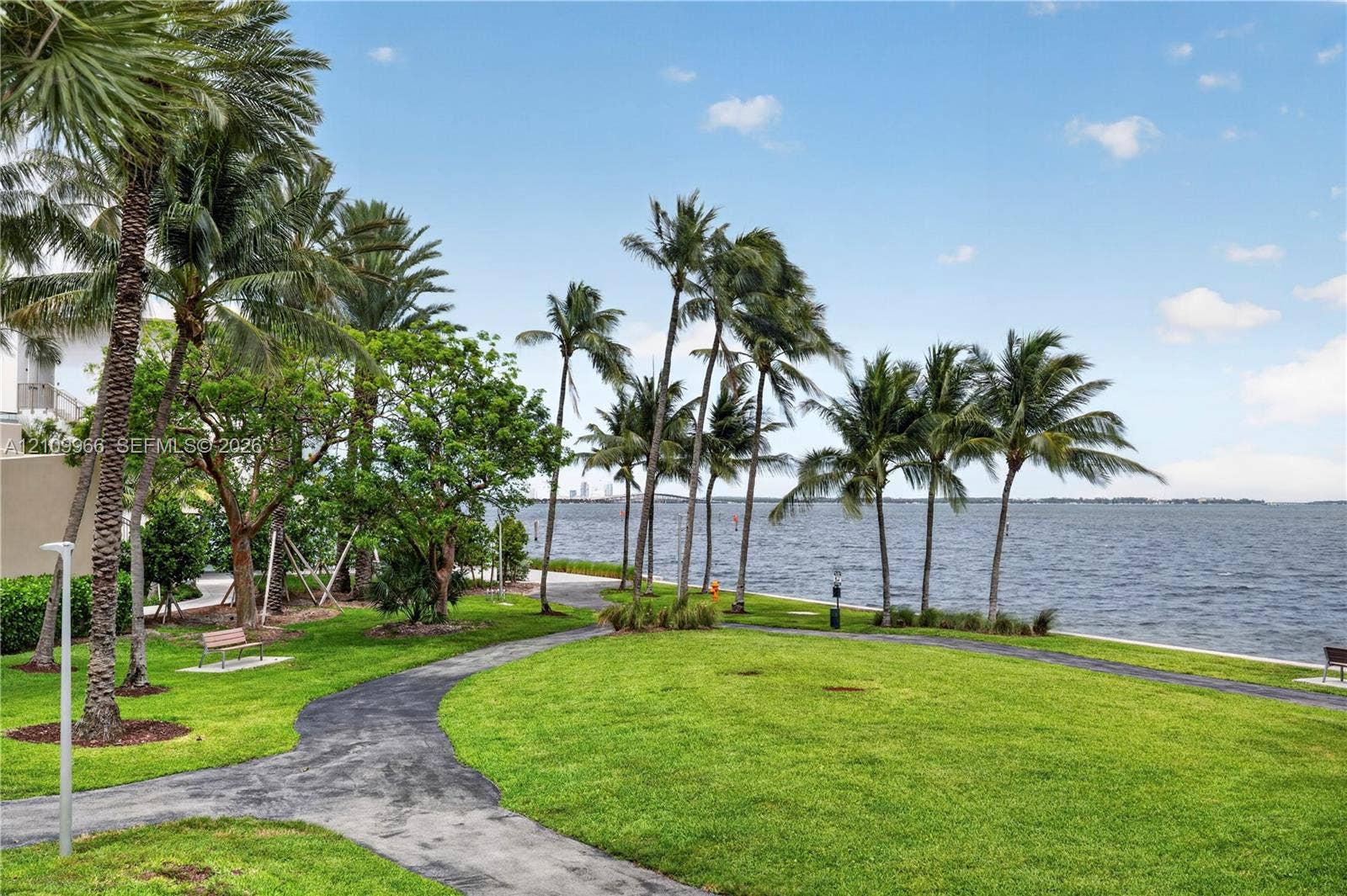 Waterfront grounds featuring mature palm trees, manicured lawns, and paved pathways