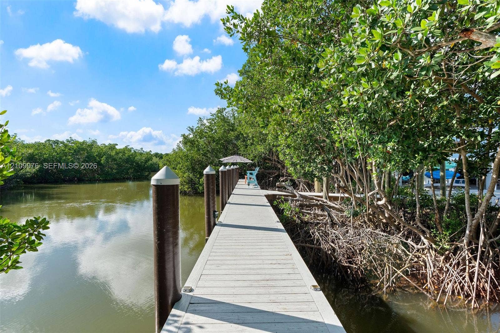 43 Waterways Drive, Key Largo, FL 33037 Private dock with composite decking, capped mooring pilings, and dense mangrove canopy