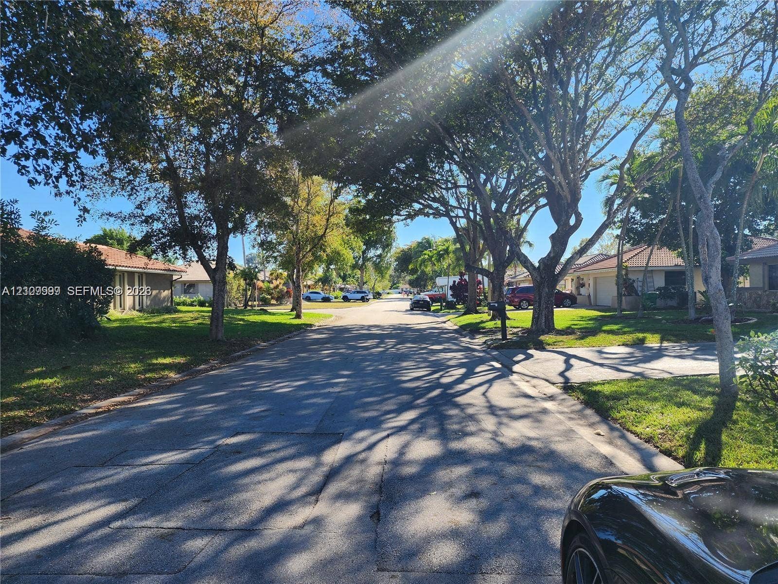 1794 NW 112th Terrace, Coral Springs, Coral Springs, FL 33071 Residential street featuring mature shade trees, paved roadway, and manicured green space
