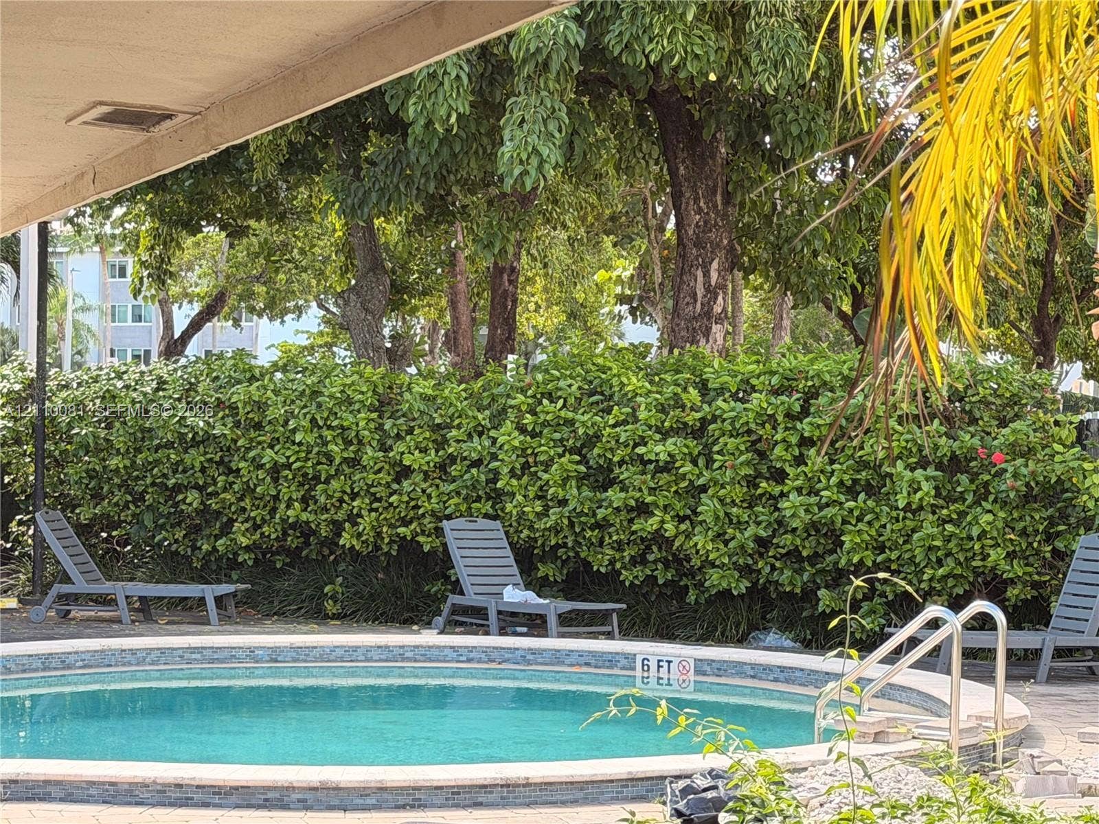 Circular swimming pool featuring a tiled waterline, metal handrails, and stone-paver decking, bordered by a mature privacy hedge and established trees