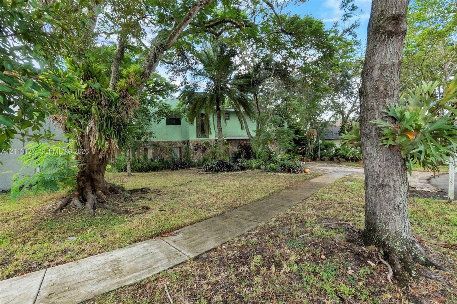 10164 SW 52nd Street, Cooper City, FL 33328 Exterior featuring stone foundation, mature landscape, concrete walkway, and palm trees