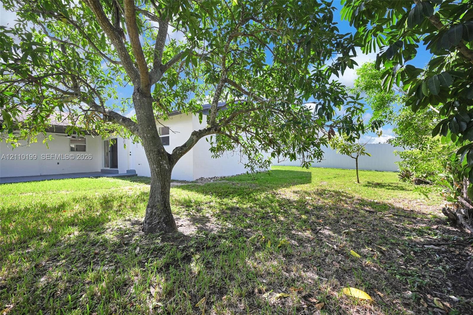 10741 SW 165th Street, Miami, FL 33157 Private backyard featuring a sprawling lawn, mature trees, a concrete patio, and a perimeter masonry wall