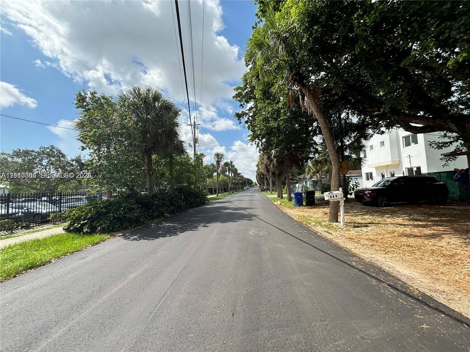 729 NW 19th Avenue, Fort Lauderdale, FL 33311 Paved street lined with mature palm trees and established canopy trees