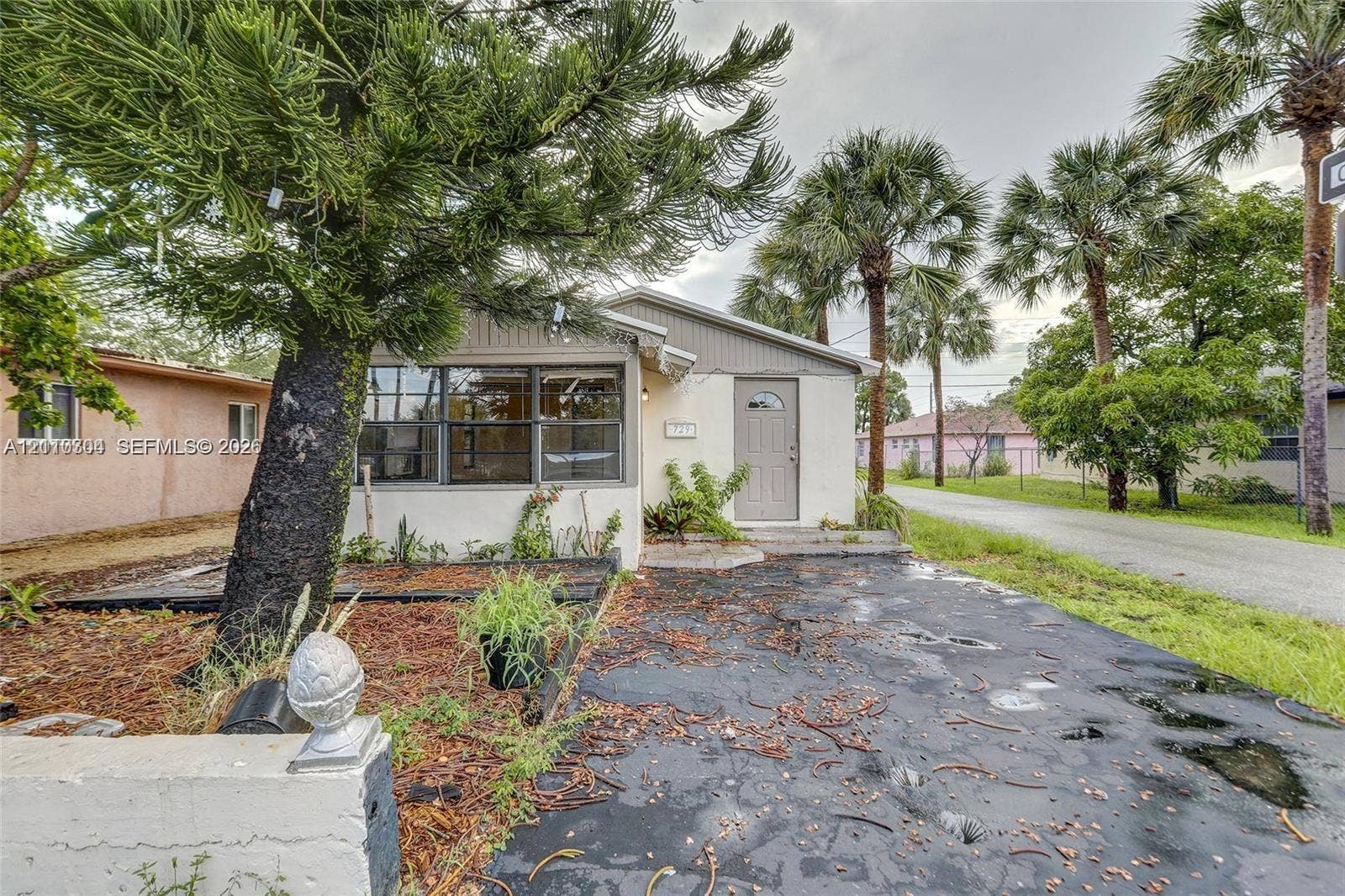 729 NW 19th Avenue, Fort Lauderdale, FL 33311 Exterior featuring a light-toned stucco faade, multi-pane windows, and a paved driveway, accented by mature palm trees and established landscaping