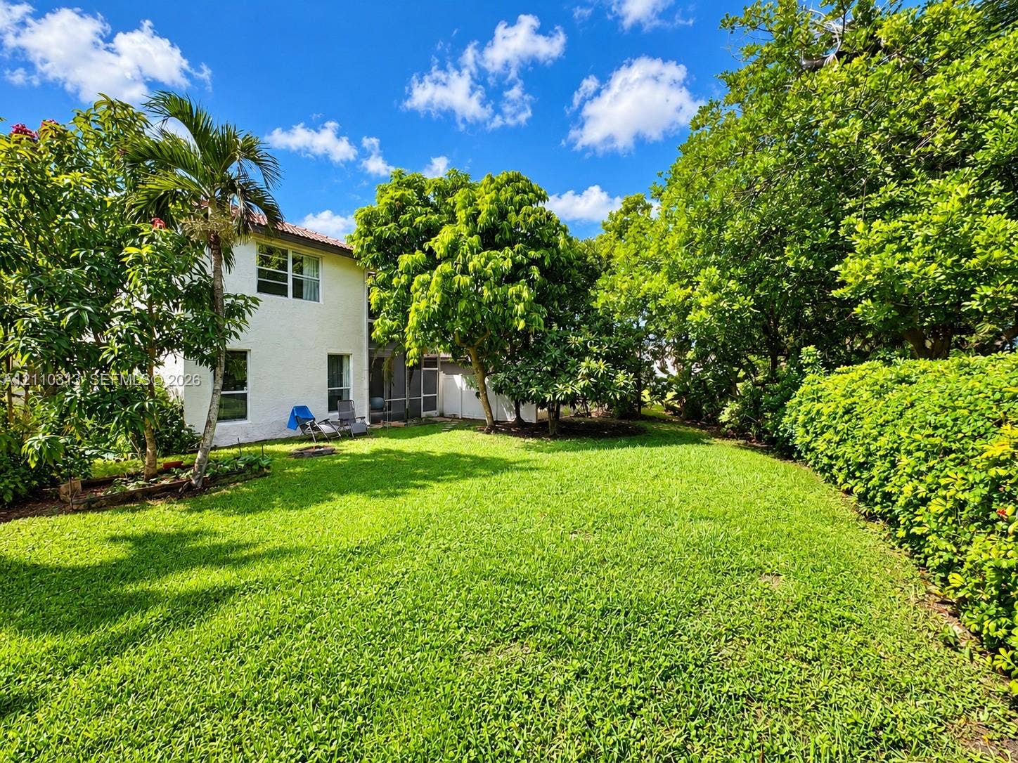 17731 SW 23rd Street, Miramar, FL 33029 Expansive backyard featuring a sprawling lawn, mature trees, dense privacy hedging, and a stucco exterior finish