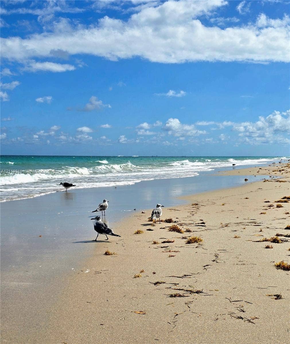 10175 Collins Avenue, #208, Bal Harbour, FL 33154 Beach