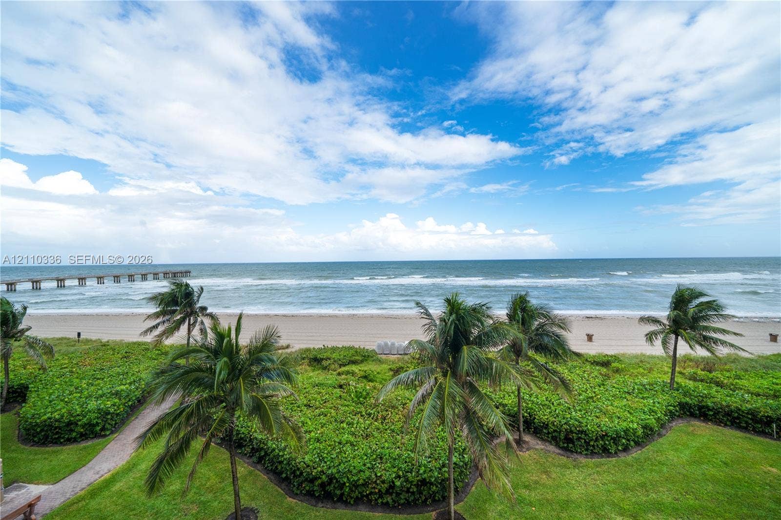 16445 Collins Avenue, #WS-7B, Sunny Isles Beach, Sunny Isles Beach, FL 33160 Coastal landscape featuring direct oceanfront access, manicured lawn, established palm trees, and native dune vegetation