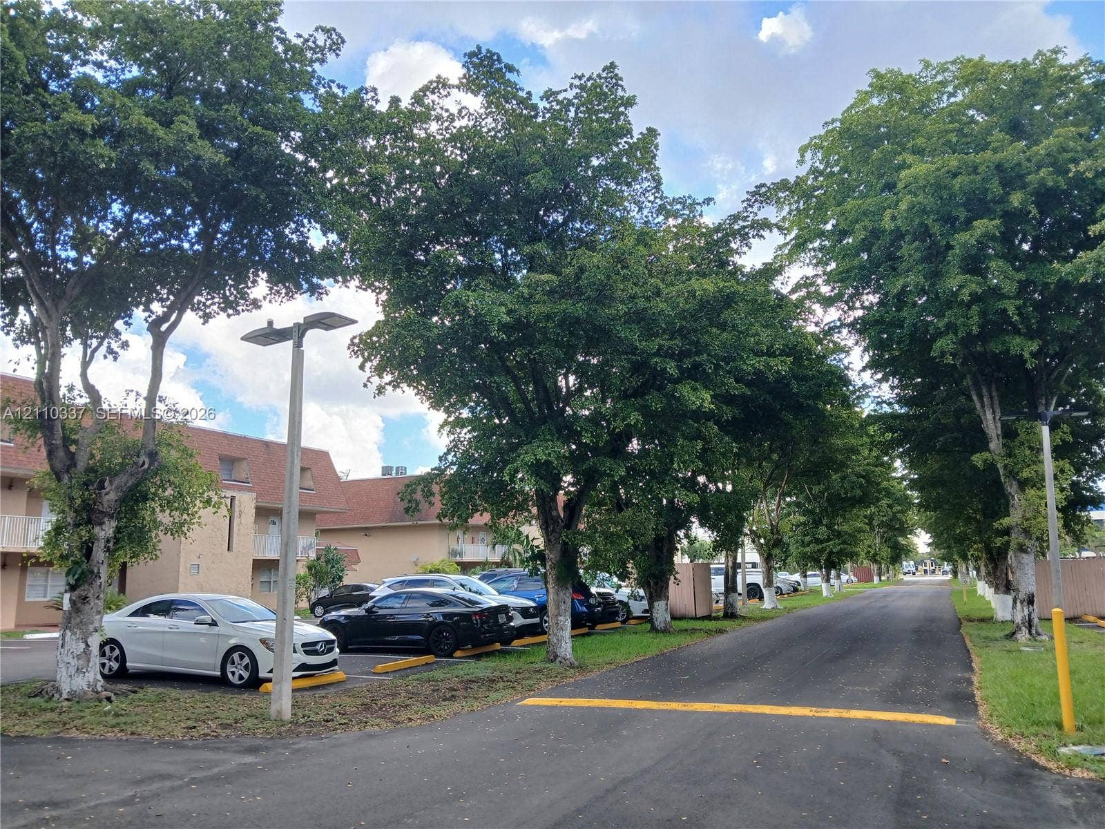 Asphalt-paved thoroughfare featuring mature shade trees, dedicated parking area, and installed light poles