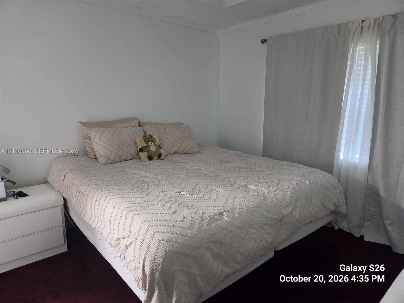 Neutral wall finishes, crown molding, and wall-to-wall carpeting