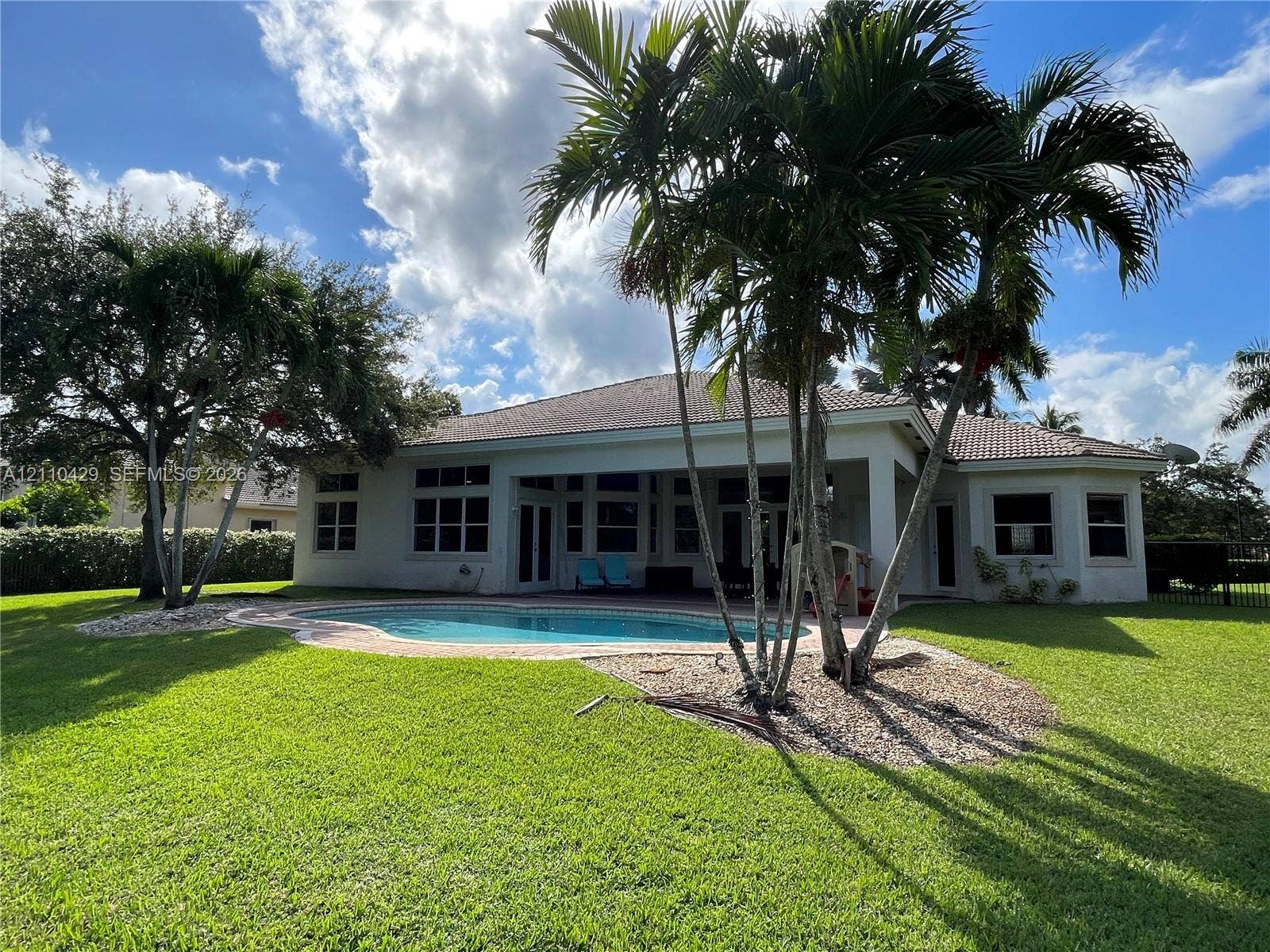 15001 SW 33rd Street, Davie, Davie, FL 33331 Rear exterior featuring a covered patio, freeform swimming pool, manicured lawn, and mature palm trees
