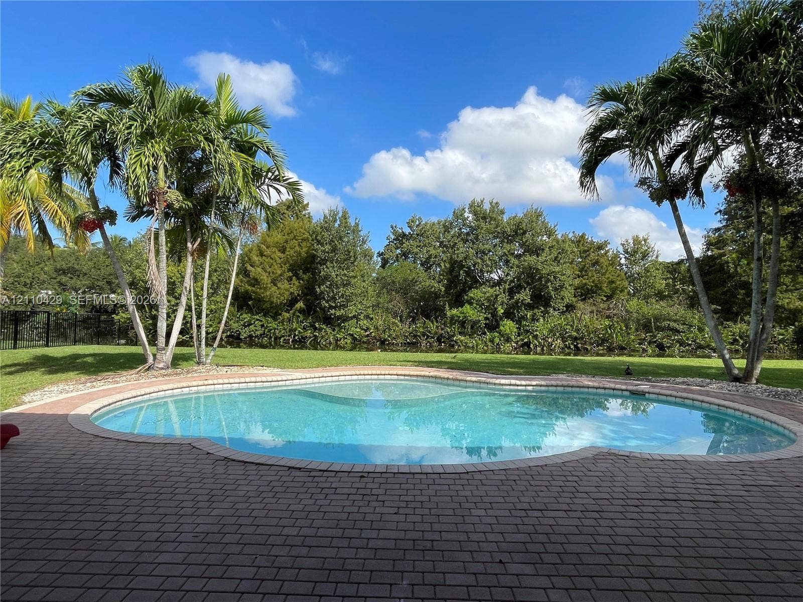 15001 SW 33rd Street, Davie, Davie, FL 33331 Freeform swimming pool with a paved brick surround, manicured lawn, and mature palm trees