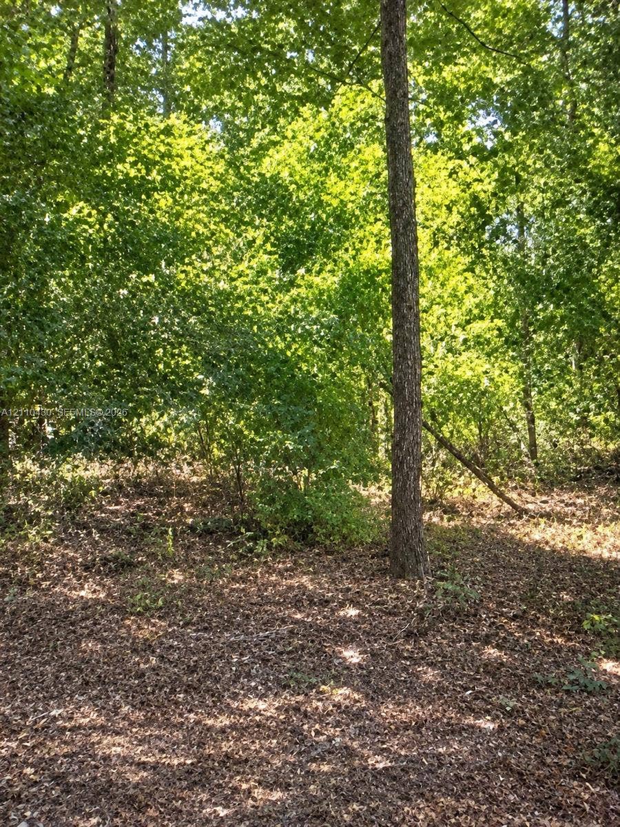 Property photo for 10860 N Mataro Avenue, Citrus Springs, FL