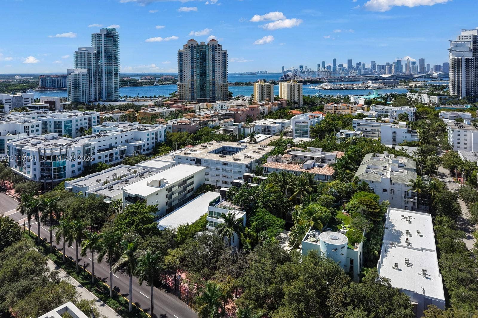 234 Washington Avenue, #D, Miami Beach, FL 33139 Aerial perspective featuring dense mature tree canopy, proximity to the coastline, and a panoramic skyline backdrop