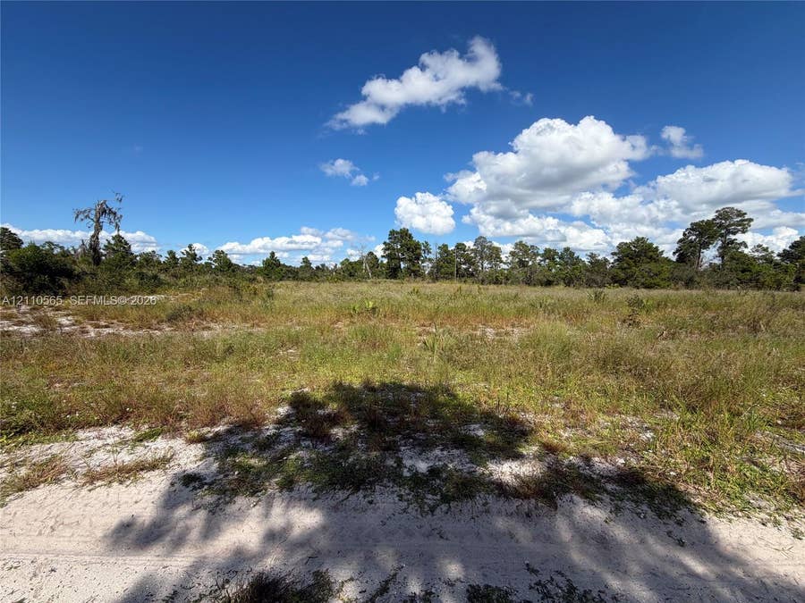 Property photo for 203 Harcourt Avenue, Lake Placid, FL