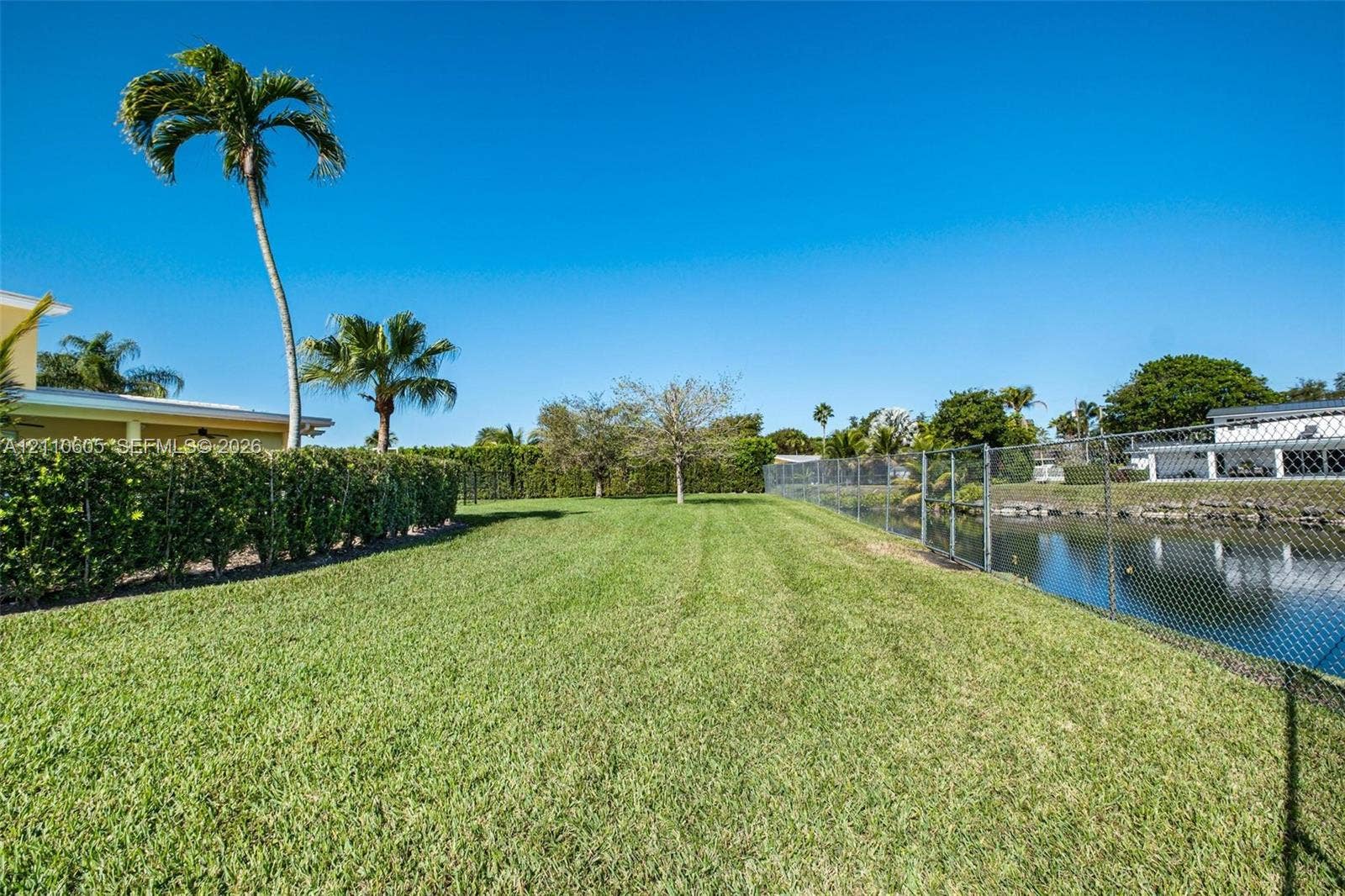 Backyard featuring a manicured lawn, perimeter hedge, chain-link fencing, palm trees, and waterfront access