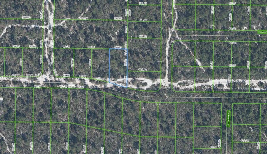 Property photo for 1320 Hyacinth Avenue, Sebring, FL
