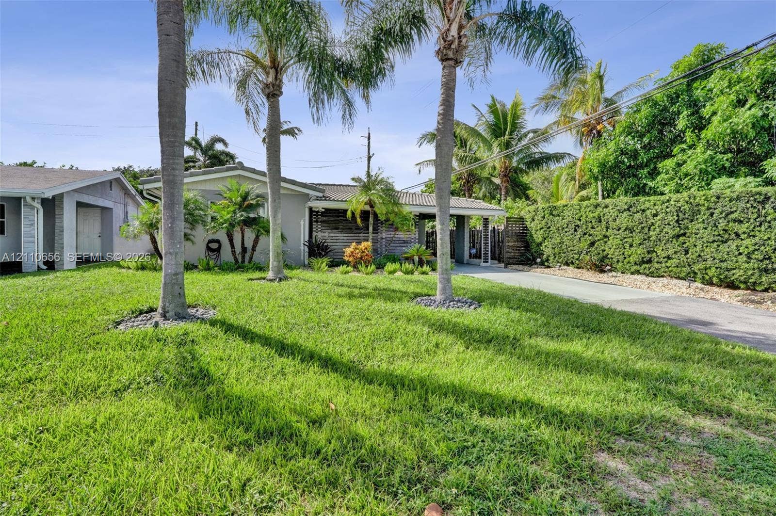 30 NE 48th Court, Oakland Park, FL 33334 Exterior facade featuring a paved driveway, covered entryway, manicured lawn, established palm trees, and dense natural hedge screening