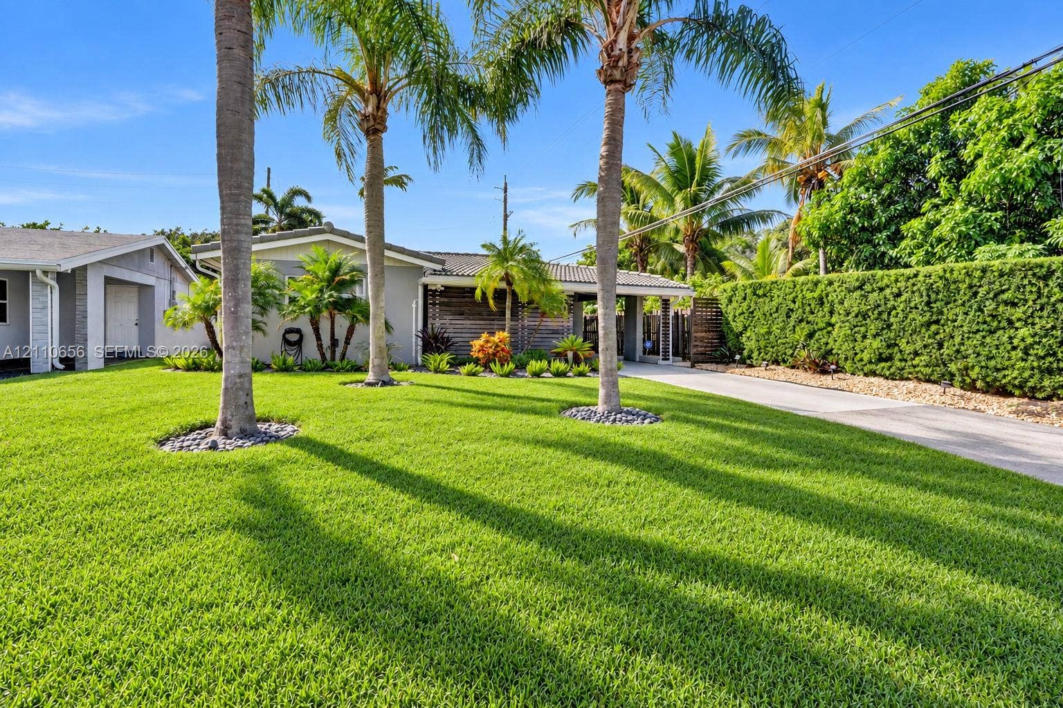 30 NE 48th Court, Oakland Park, FL 33334 Manicured lawn with mature palm trees, concrete driveway, and established landscape hedging