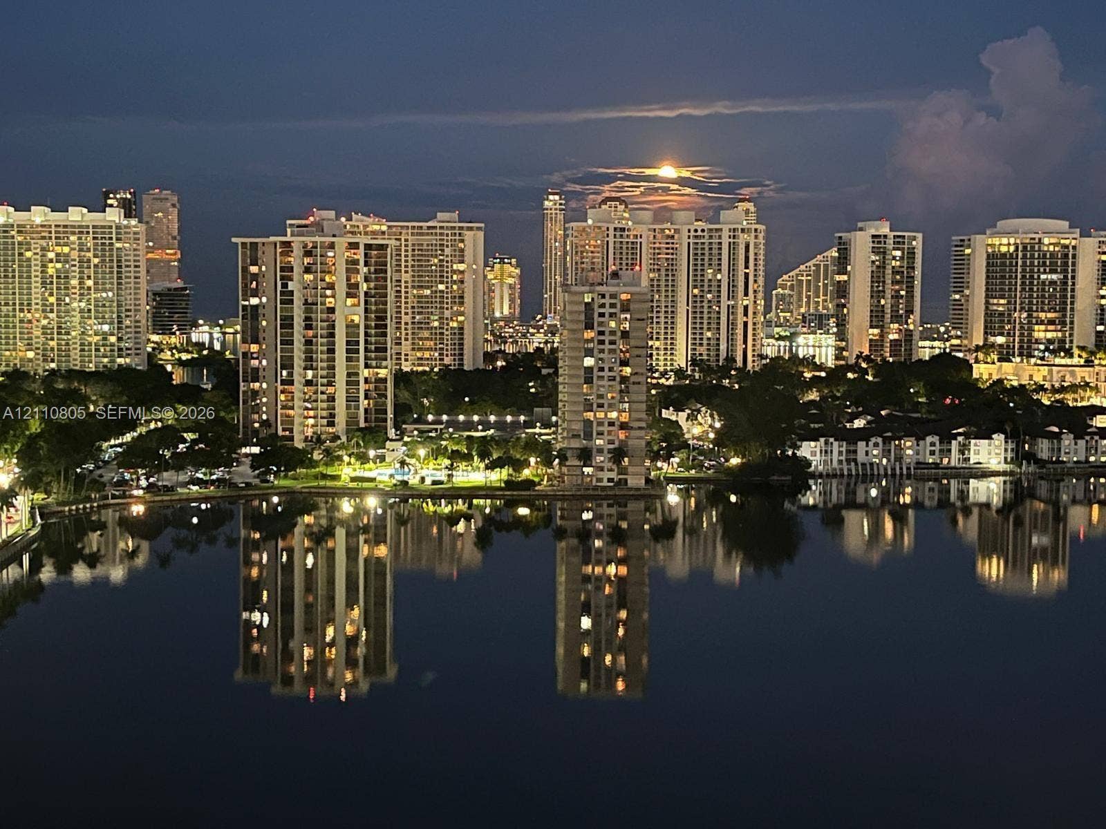 Elevated perspective of the urban skyline and expansive waterfront with reflections