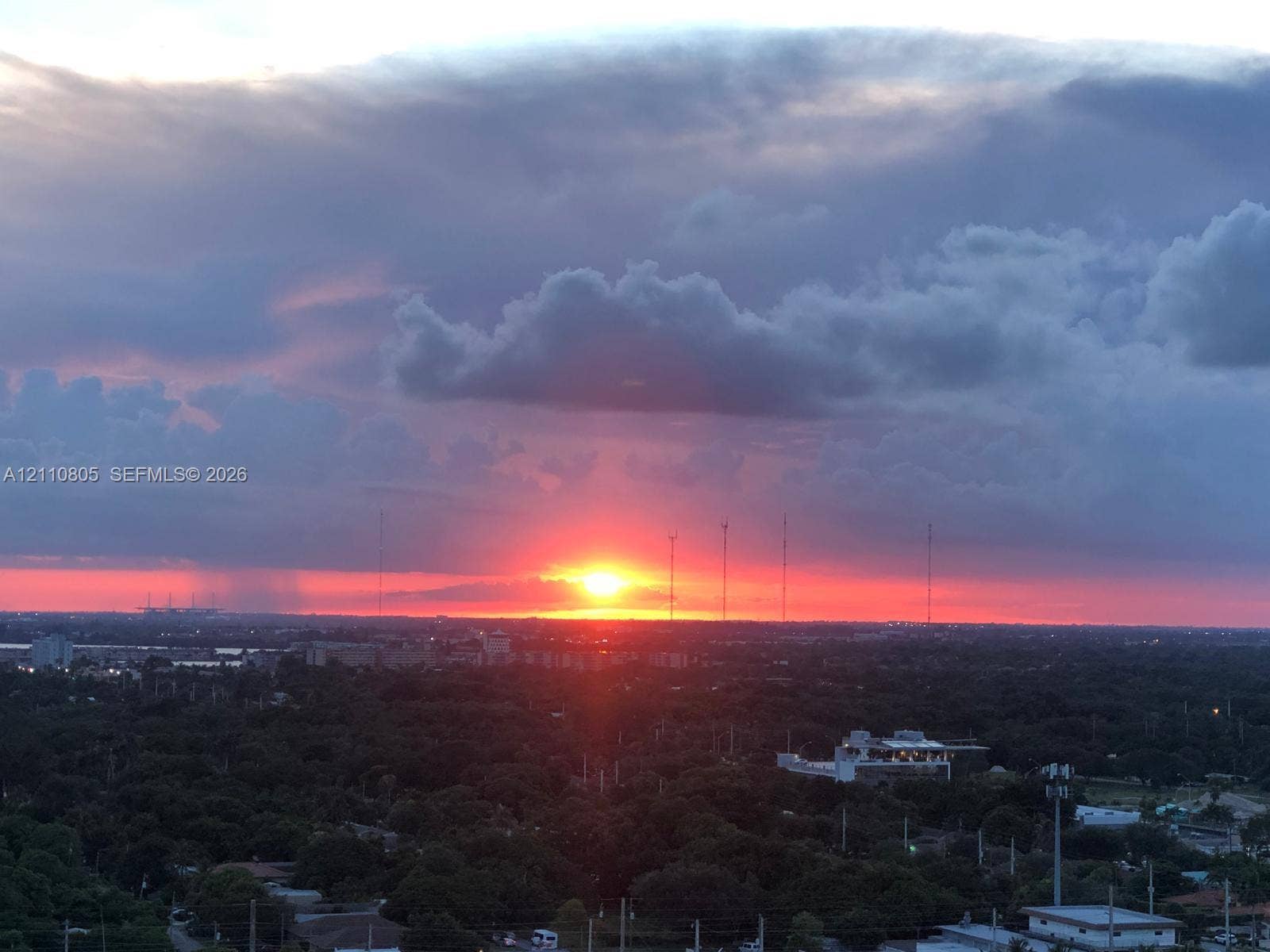 Panoramic horizon featuring a vibrant sunset over an expansive tree canopy