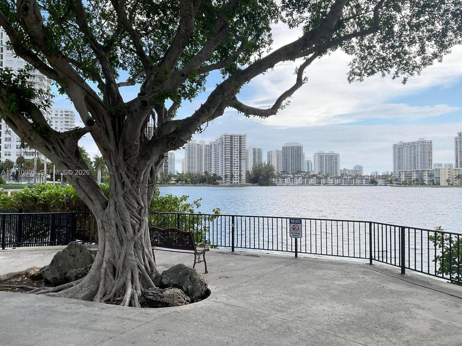 Waterfront grounds featuring a concrete terrace, mature tree with exposed root system, and metal perimeter fencing