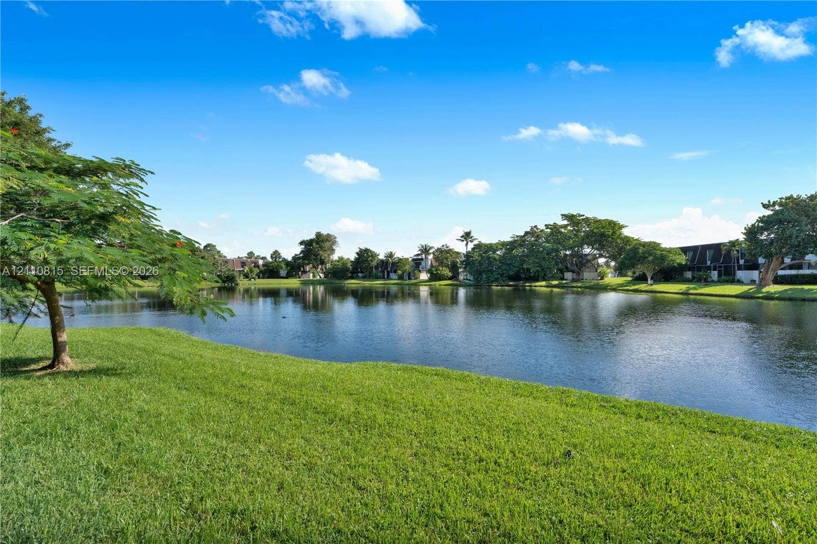 9100 Orchid Tree Lane, #137, Pembroke Pines, FL 33024 Waterfront setting featuring a grass lawn, mature trees, and landscaping