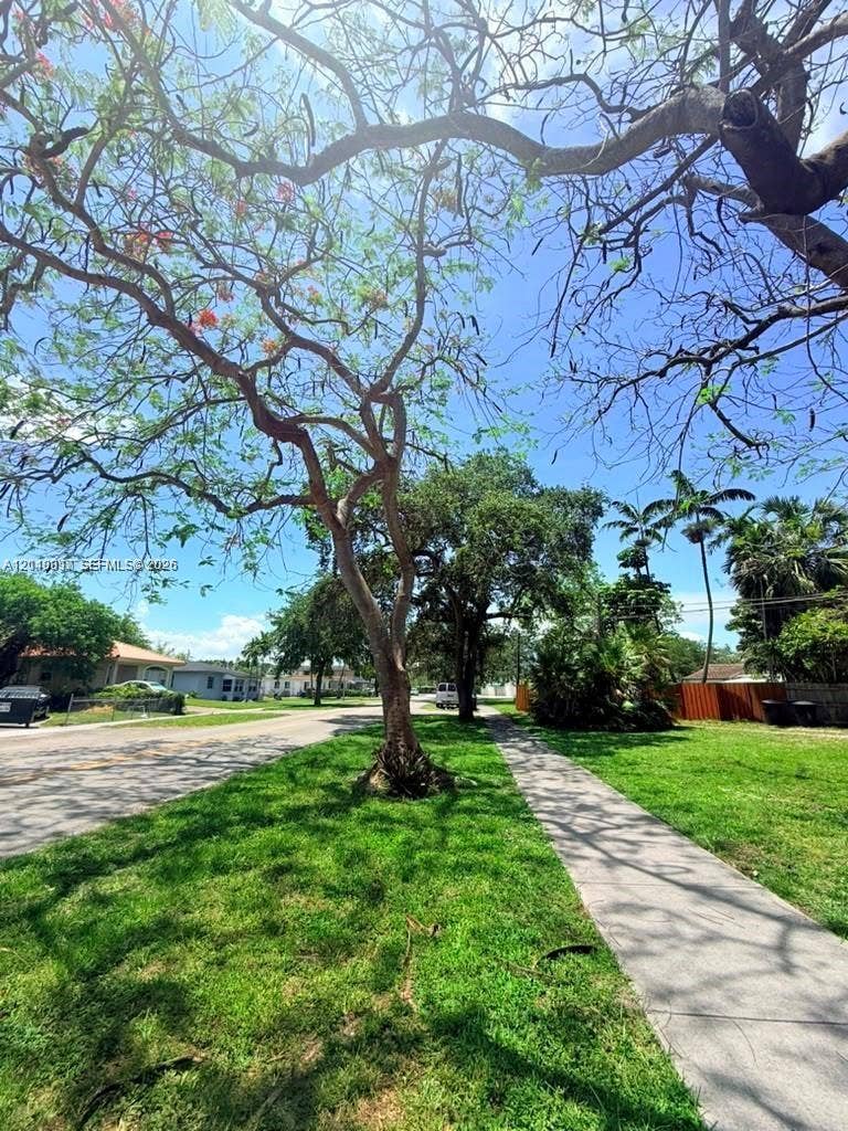 201 Flagler Drive, #201, Miami Springs, Miami Springs, FL 33166 Expansive front lawn featuring mature Royal Poinciana trees, manicured turf, and a paved concrete sidewalk