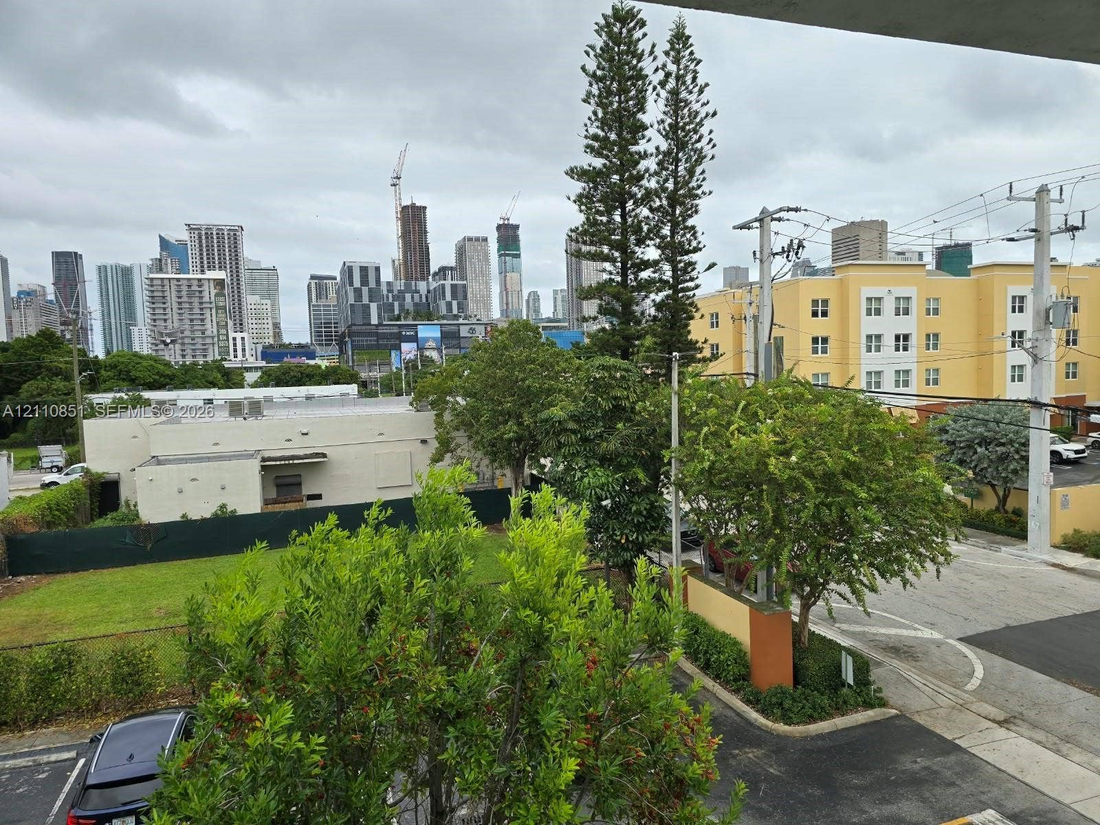 Urban skyline backdrop featuring mature trees and established landscaping