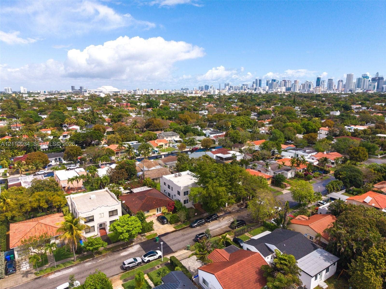 Aerial perspective featuring established tree canopy, residential street infrastructure, and prominent metropolitan skyline backdrop
